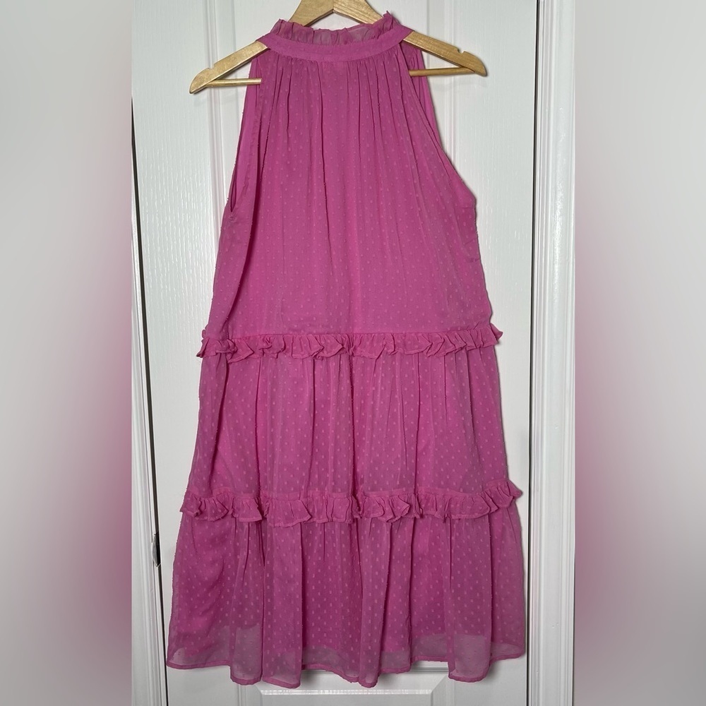 Roller Rabbit Swiss Dot Janae Pink Dress Size XL - Picture 3 of 8